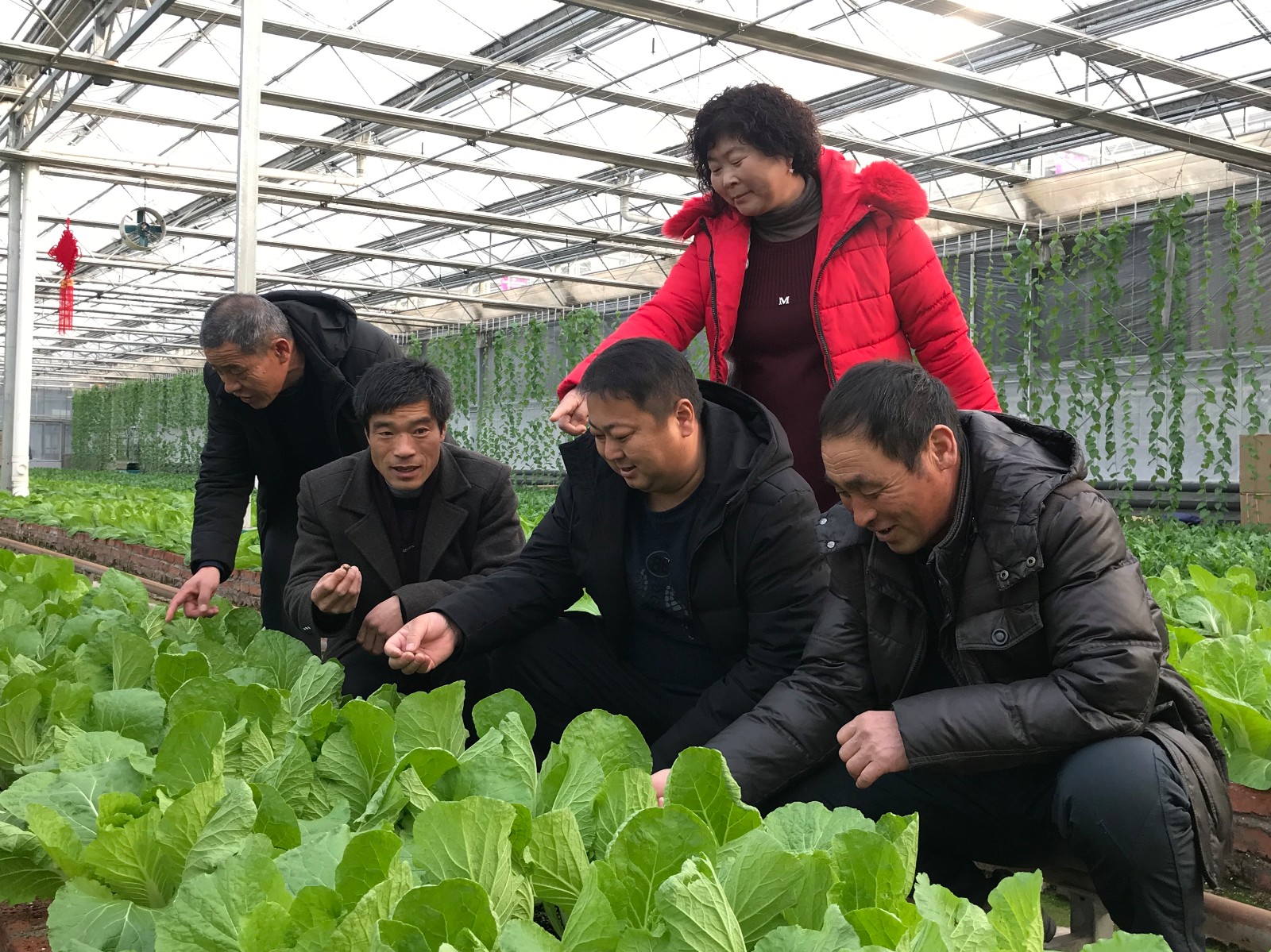 鍐�1.jpg 鍐�1.jpg