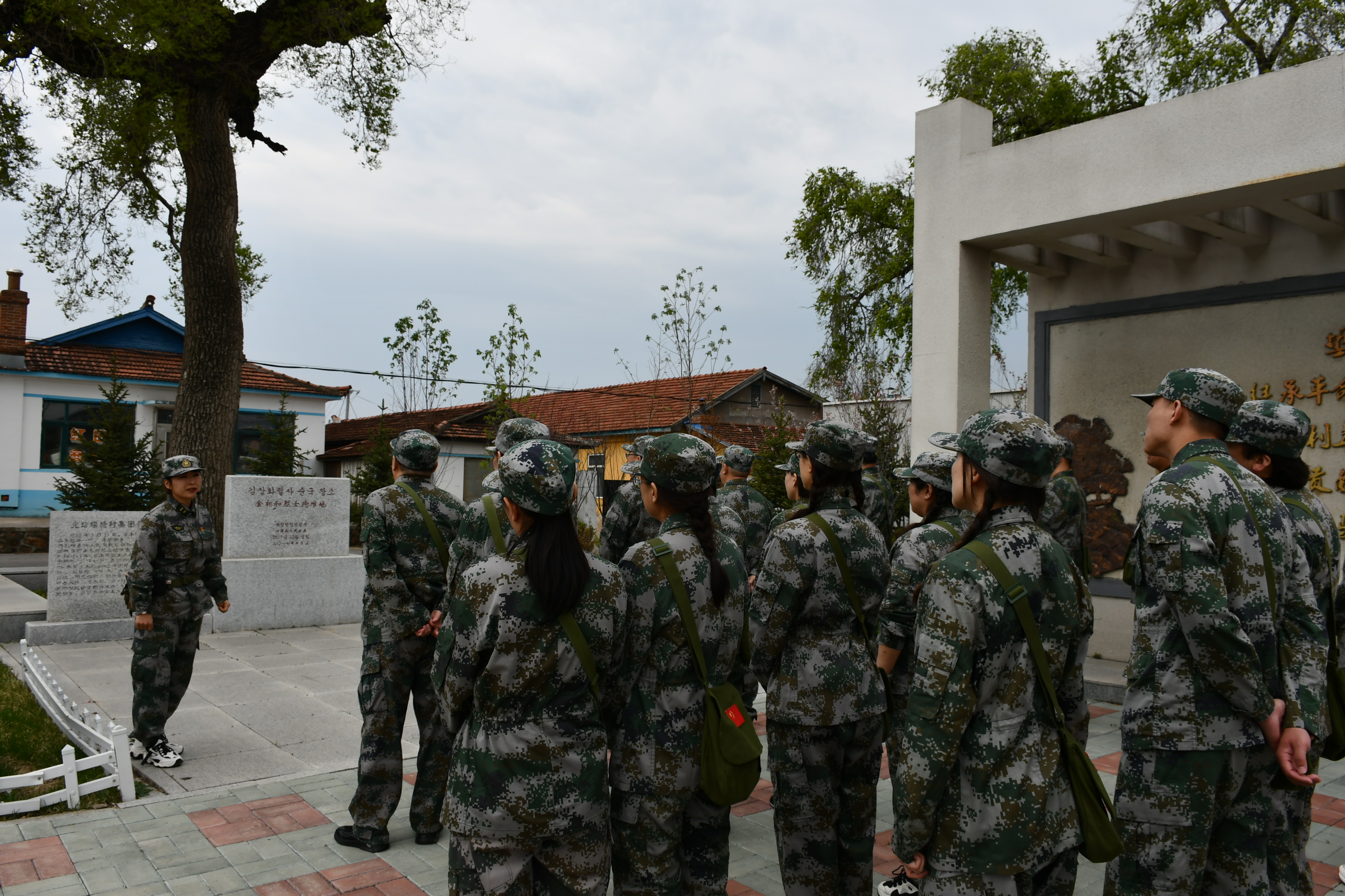 DSC_4719.JPG